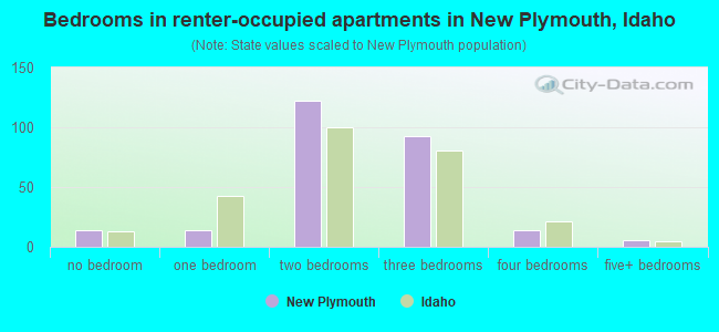 Bedrooms in renter-occupied apartments in New Plymouth, Idaho