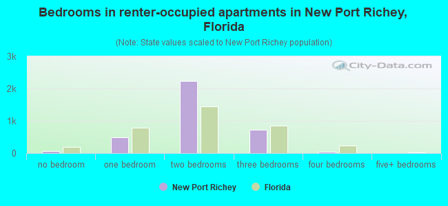 Bedrooms in renter-occupied apartments in New Port Richey, Florida