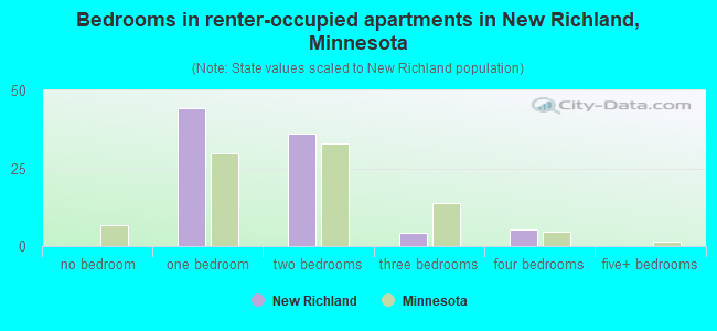 Bedrooms in renter-occupied apartments in New Richland, Minnesota