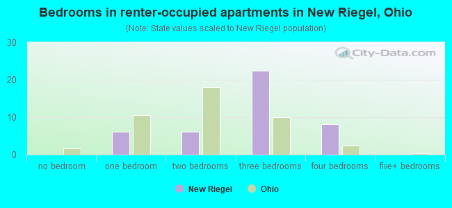 Bedrooms in renter-occupied apartments in New Riegel, Ohio