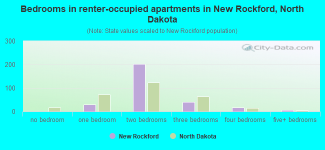 Bedrooms in renter-occupied apartments in New Rockford, North Dakota