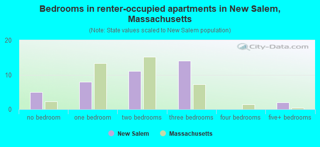 Bedrooms in renter-occupied apartments in New Salem, Massachusetts