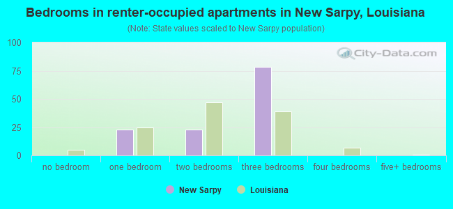 Bedrooms in renter-occupied apartments in New Sarpy, Louisiana