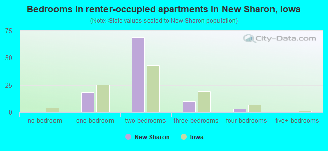 Bedrooms in renter-occupied apartments in New Sharon, Iowa
