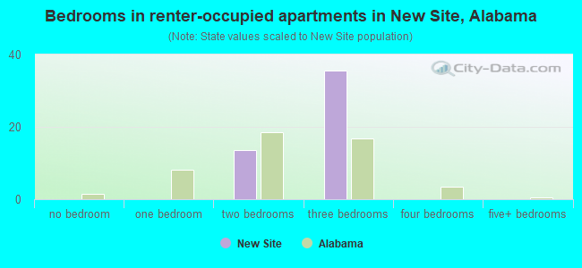 Bedrooms in renter-occupied apartments in New Site, Alabama