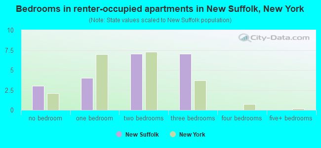 Bedrooms in renter-occupied apartments in New Suffolk, New York