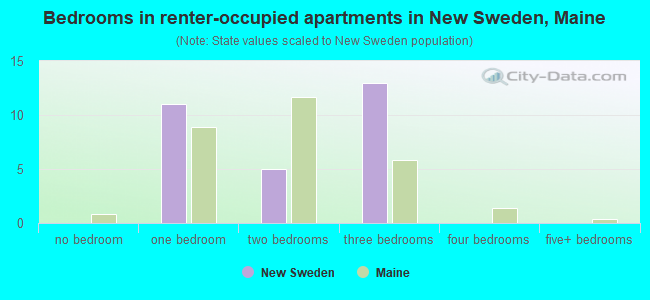 Bedrooms in renter-occupied apartments in New Sweden, Maine