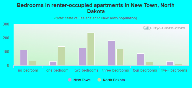 Bedrooms in renter-occupied apartments in New Town, North Dakota