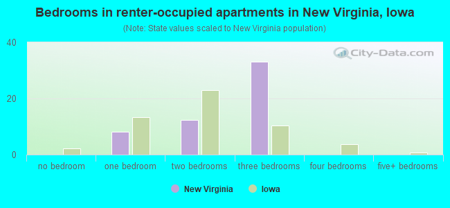 Bedrooms in renter-occupied apartments in New Virginia, Iowa