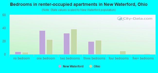 Bedrooms in renter-occupied apartments in New Waterford, Ohio