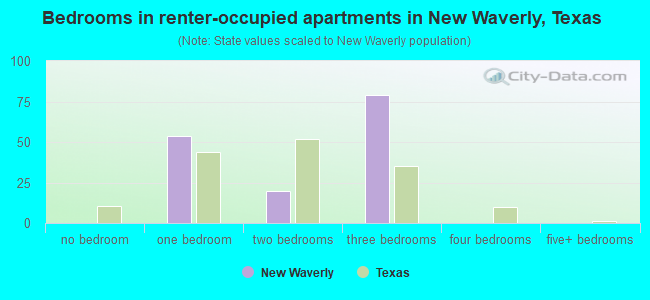 Bedrooms in renter-occupied apartments in New Waverly, Texas