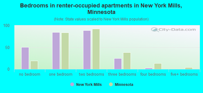 Bedrooms in renter-occupied apartments in New York Mills, Minnesota