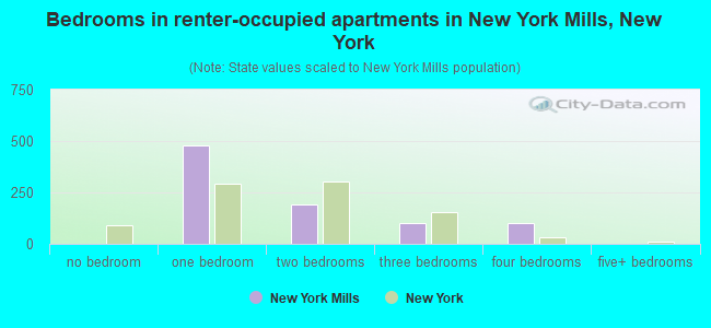 Bedrooms in renter-occupied apartments in New York Mills, New York