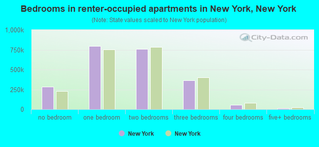 Bedrooms in renter-occupied apartments in New York, New York