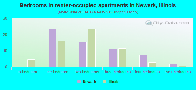 Bedrooms in renter-occupied apartments in Newark, Illinois