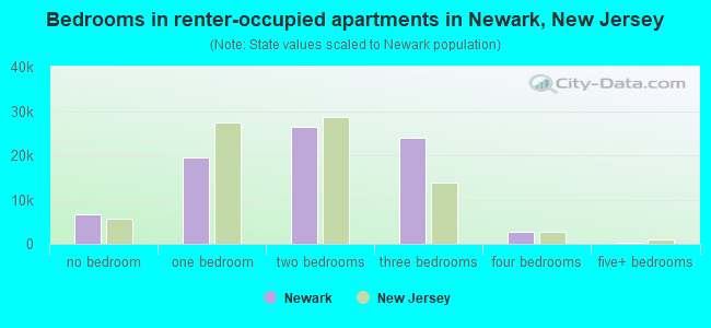 Bedrooms in renter-occupied apartments in Newark, New Jersey