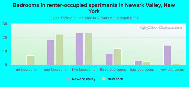 Bedrooms in renter-occupied apartments in Newark Valley, New York