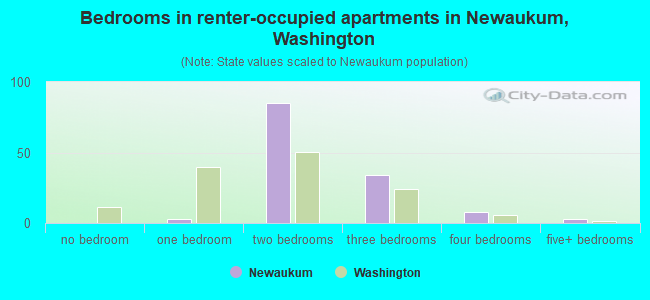 Bedrooms in renter-occupied apartments in Newaukum, Washington