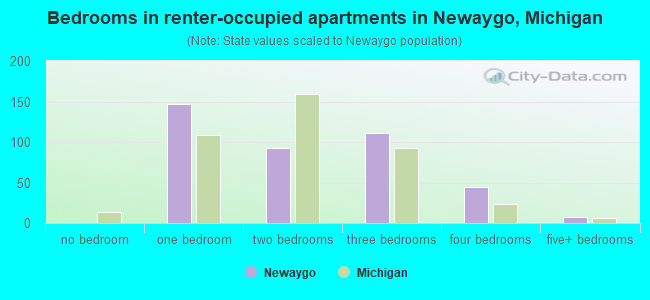 Bedrooms in renter-occupied apartments in Newaygo, Michigan