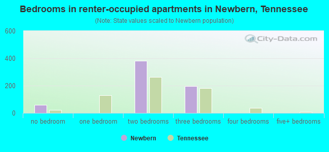 Bedrooms in renter-occupied apartments in Newbern, Tennessee