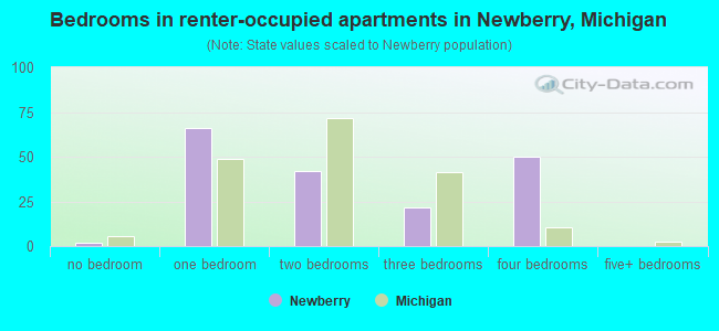 Bedrooms in renter-occupied apartments in Newberry, Michigan