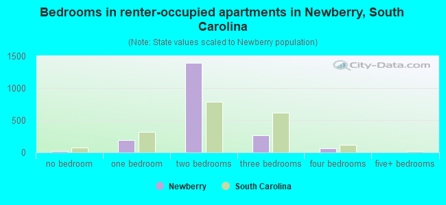 Bedrooms in renter-occupied apartments in Newberry, South Carolina