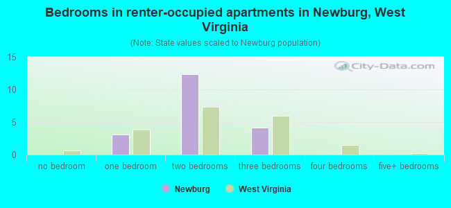 Bedrooms in renter-occupied apartments in Newburg, West Virginia