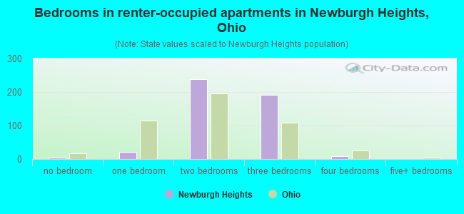 Bedrooms in renter-occupied apartments in Newburgh Heights, Ohio