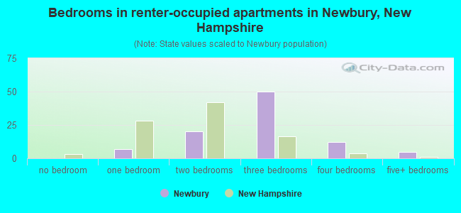 Bedrooms in renter-occupied apartments in Newbury, New Hampshire