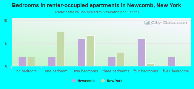 Bedrooms in renter-occupied apartments in Newcomb, New York