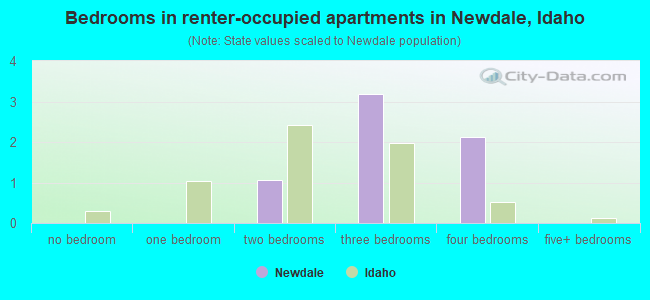 Bedrooms in renter-occupied apartments in Newdale, Idaho