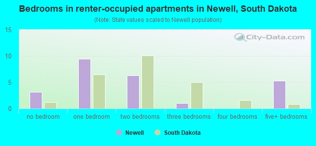 Bedrooms in renter-occupied apartments in Newell, South Dakota