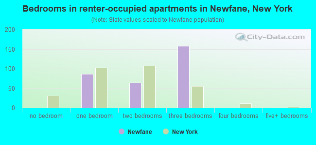 Bedrooms in renter-occupied apartments in Newfane, New York