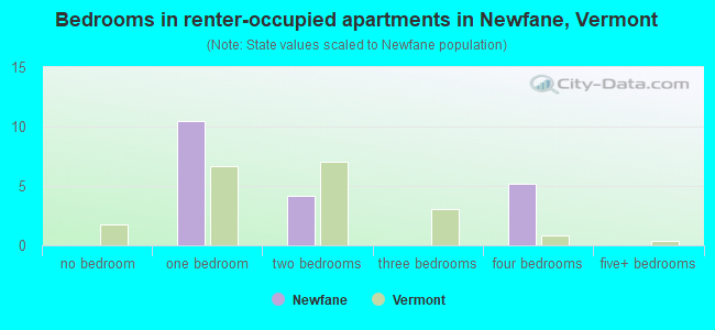 Bedrooms in renter-occupied apartments in Newfane, Vermont