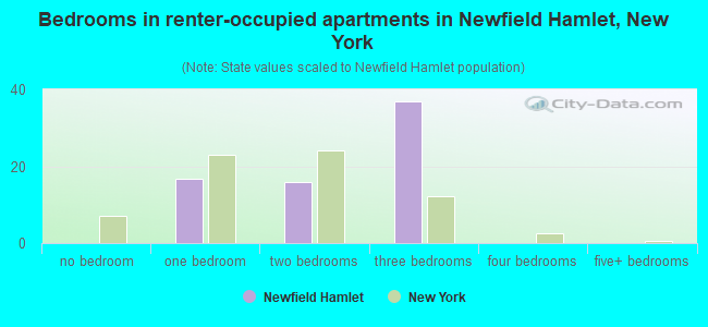 Bedrooms in renter-occupied apartments in Newfield Hamlet, New York