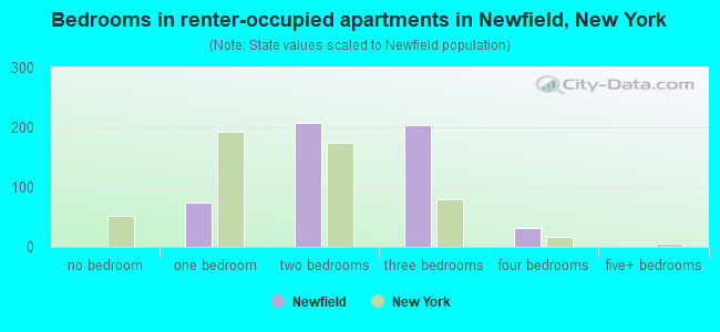 Bedrooms in renter-occupied apartments in Newfield, New York