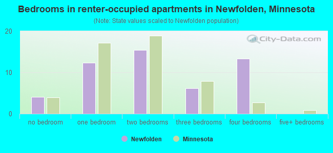 Bedrooms in renter-occupied apartments in Newfolden, Minnesota