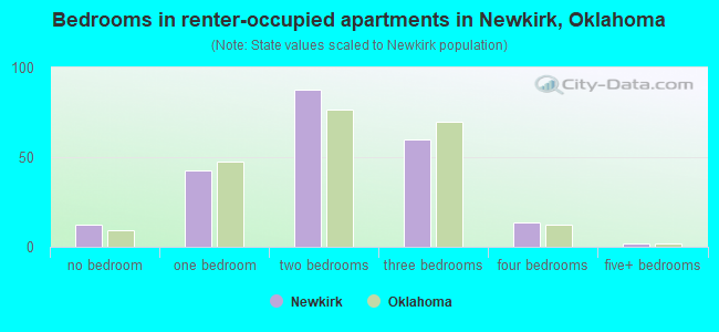 Bedrooms in renter-occupied apartments in Newkirk, Oklahoma