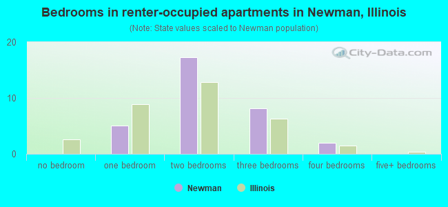 Bedrooms in renter-occupied apartments in Newman, Illinois