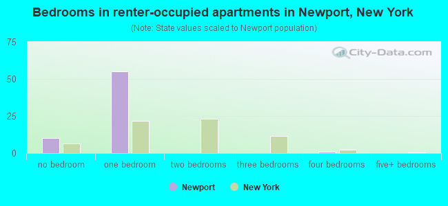 Bedrooms in renter-occupied apartments in Newport, New York