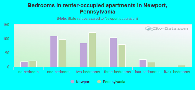 Bedrooms in renter-occupied apartments in Newport, Pennsylvania