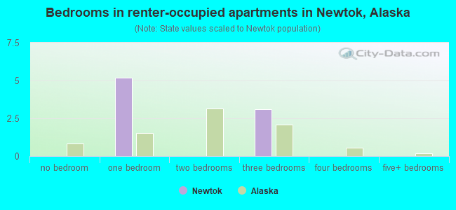 Bedrooms in renter-occupied apartments in Newtok, Alaska