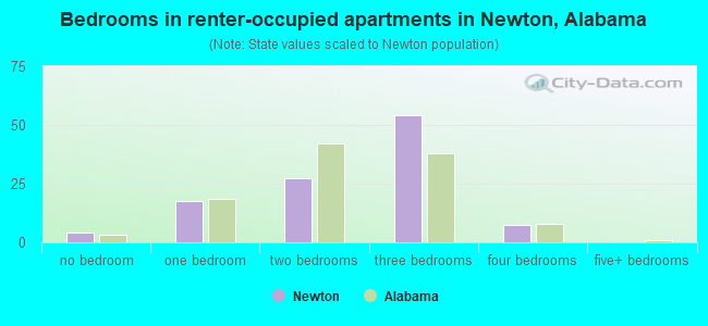 Bedrooms in renter-occupied apartments in Newton, Alabama