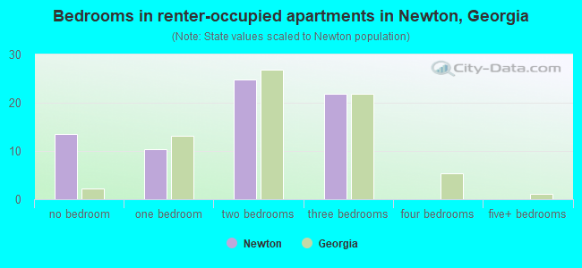Bedrooms in renter-occupied apartments in Newton, Georgia