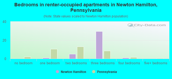 Bedrooms in renter-occupied apartments in Newton Hamilton, Pennsylvania