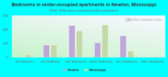 Bedrooms in renter-occupied apartments in Newton, Mississippi