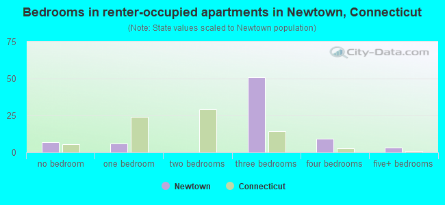 Bedrooms in renter-occupied apartments in Newtown, Connecticut