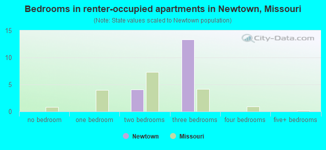 Bedrooms in renter-occupied apartments in Newtown, Missouri