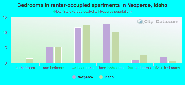 Bedrooms in renter-occupied apartments in Nezperce, Idaho