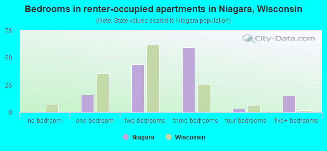 Bedrooms in renter-occupied apartments in Niagara, Wisconsin